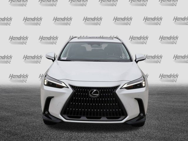 2025 Lexus NX 350h Premium