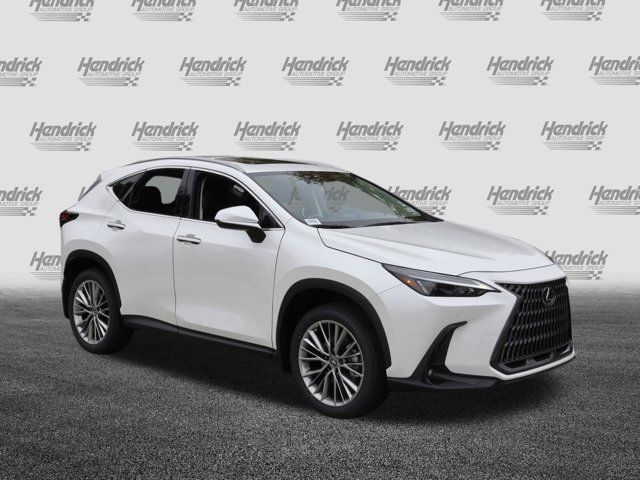 2025 Lexus NX 350h Premium