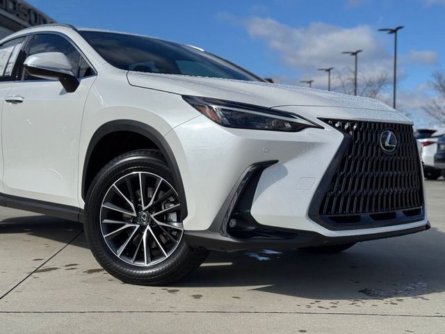 2025 Lexus NX 350h Premium