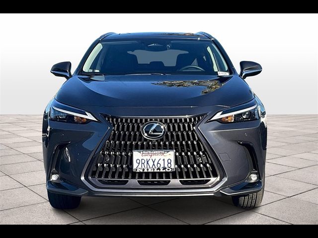 2025 Lexus NX 350h Premium