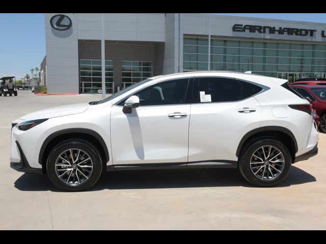 2025 Lexus NX 350h Premium