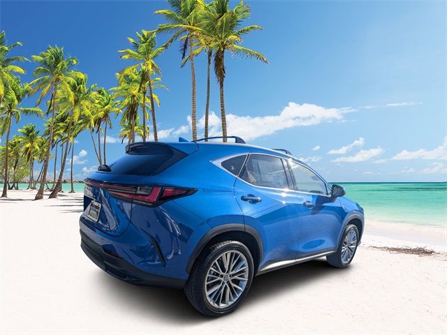 2025 Lexus NX 350h Premium