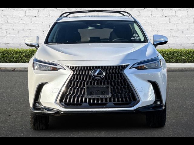 2025 Lexus NX 350h Premium