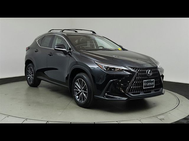 2025 Lexus NX 350h Premium