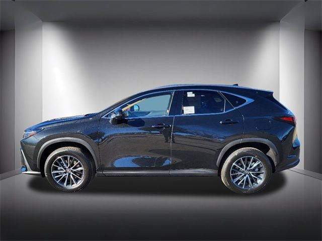 2025 Lexus NX 350h Premium