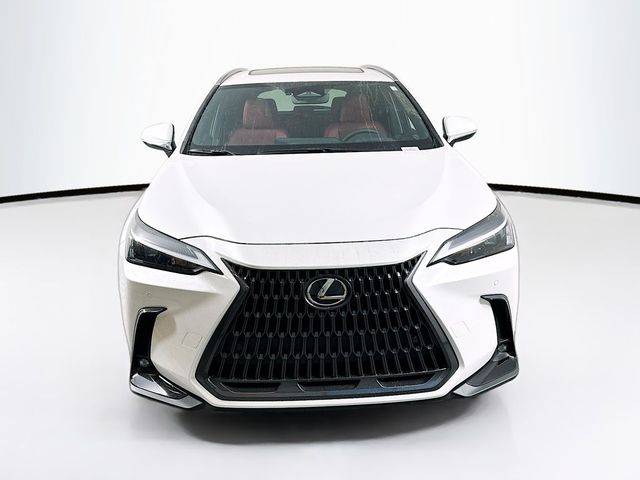 2025 Lexus NX 350h Premium