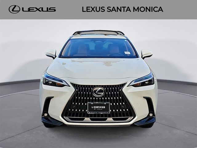 2025 Lexus NX 350h Premium