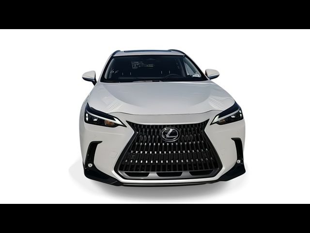 2025 Lexus NX 350h Premium