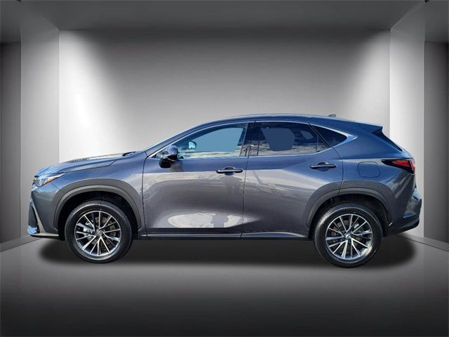 2025 Lexus NX 350h Premium