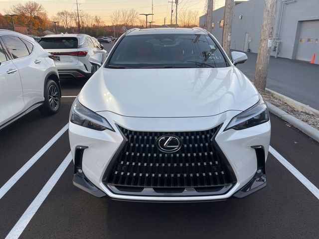 2025 Lexus NX 350h Premium