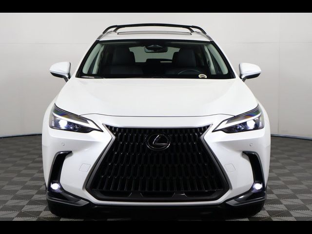 2025 Lexus NX 350h Premium