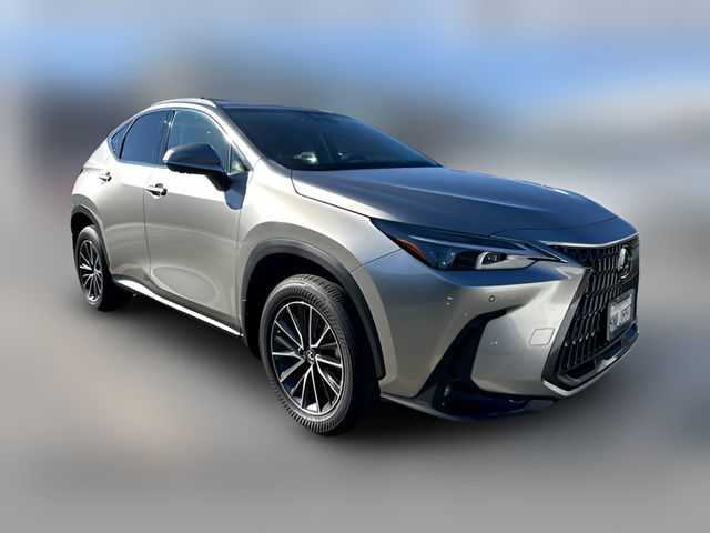 2025 Lexus NX 350h Premium