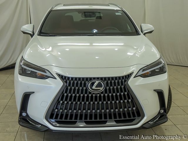 2025 Lexus NX 350h Premium