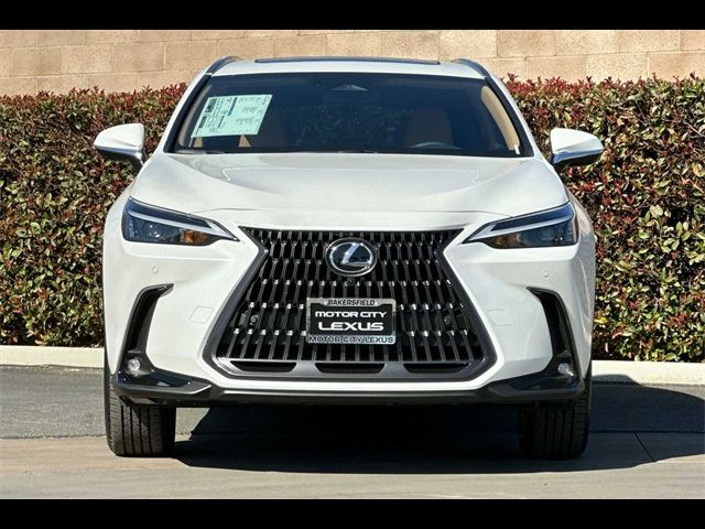 2025 Lexus NX 350h Premium