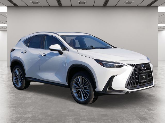 2025 Lexus NX 350h Premium