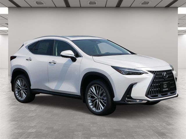 2025 Lexus NX 350h Premium