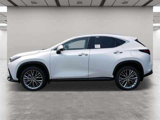 2025 Lexus NX 350h Premium