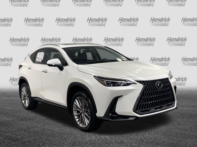 2025 Lexus NX 350h Premium