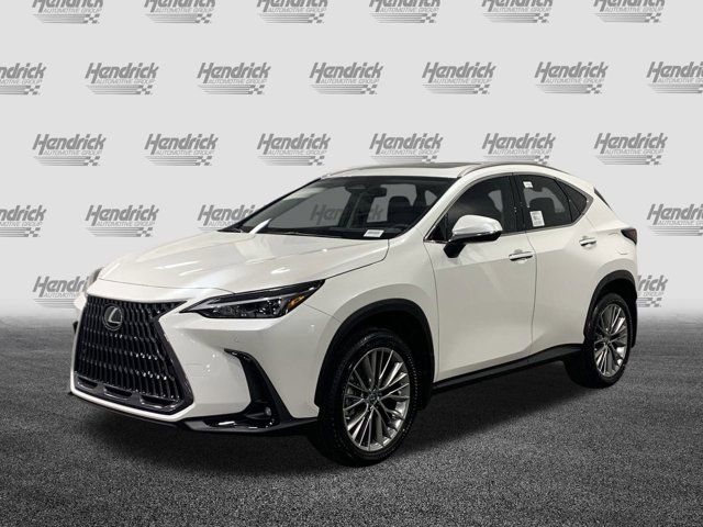 2025 Lexus NX 350h Premium