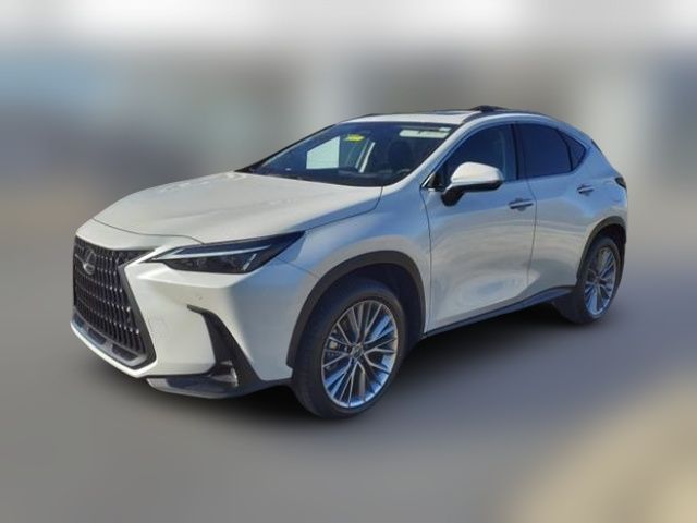 2025 Lexus NX 350h Premium