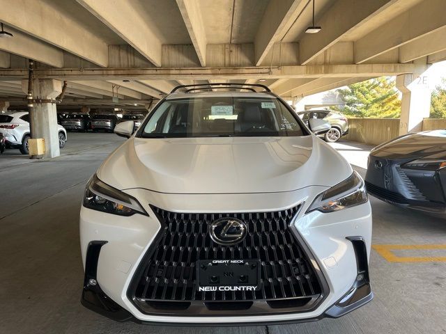 2025 Lexus NX 350h Premium