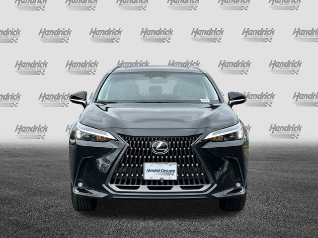 2025 Lexus NX 350h Premium