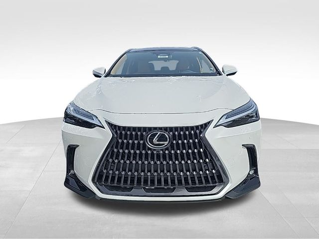 2025 Lexus NX 450h+ Luxury