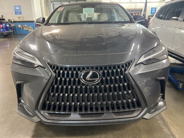 2025 Lexus NX 450h+ Luxury