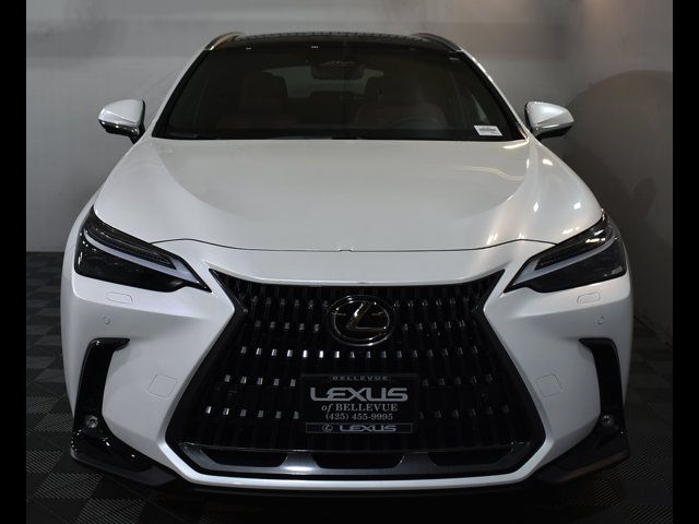 2025 Lexus NX 450h+ Luxury