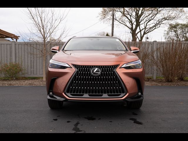 2025 Lexus NX 450h+ Luxury