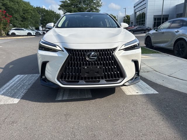 2025 Lexus NX 450h+ Luxury