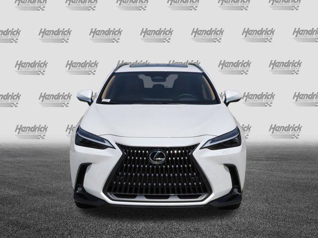 2025 Lexus NX 450h+ Luxury