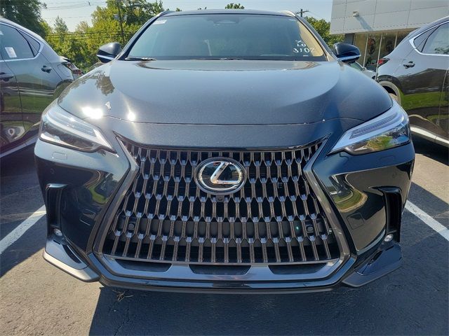 2025 Lexus NX 450h+ Luxury