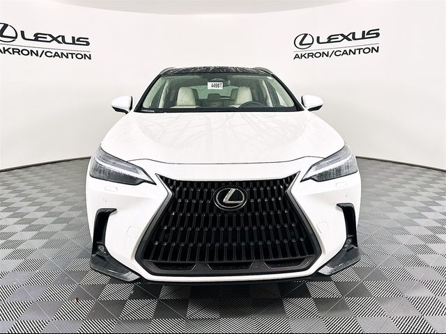 2025 Lexus NX 450h+ Luxury