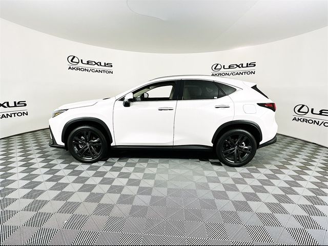 2025 Lexus NX 450h+ Luxury