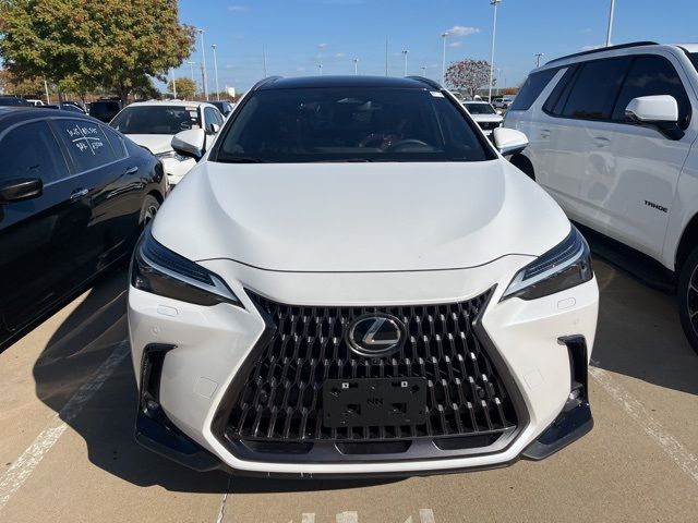 2025 Lexus NX 450h+ Luxury