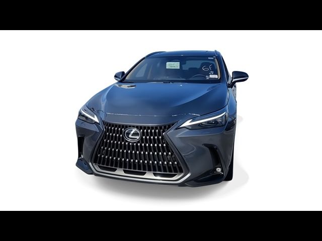 2025 Lexus NX 450h+ Luxury