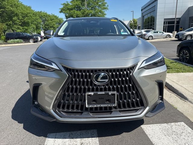 2025 Lexus NX 450h+ Luxury