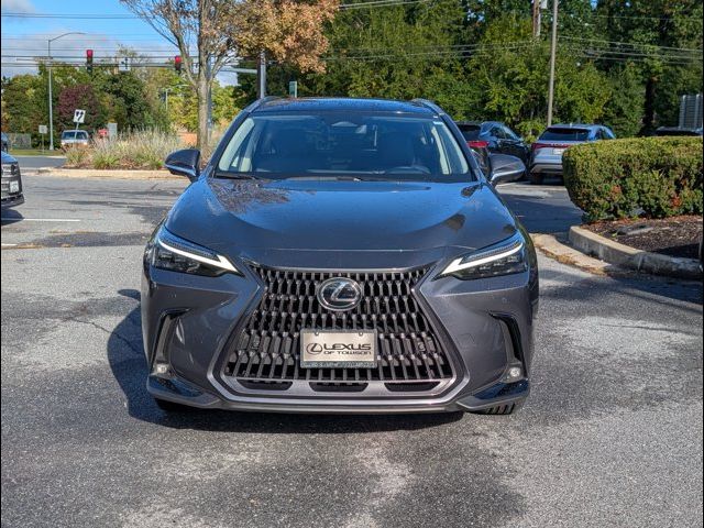 2025 Lexus NX 450h+ Luxury