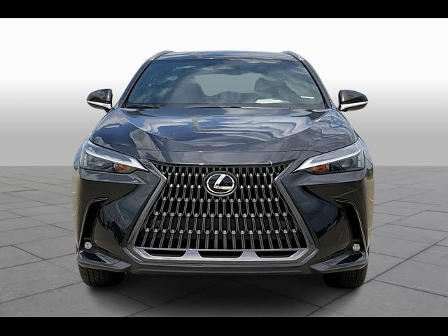 2025 Lexus NX 250