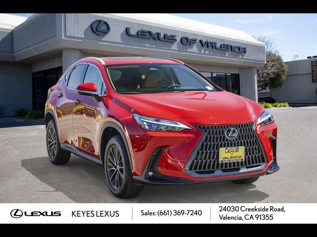 2025 Lexus NX 250