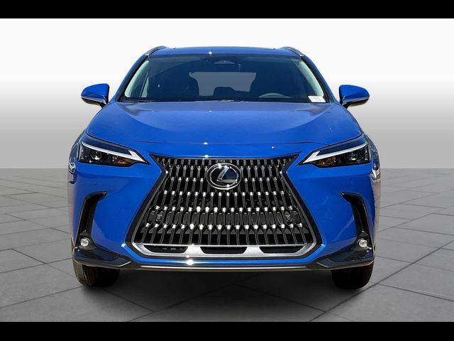 2025 Lexus NX 250