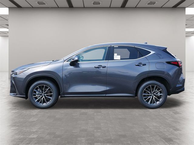 2025 Lexus NX 250