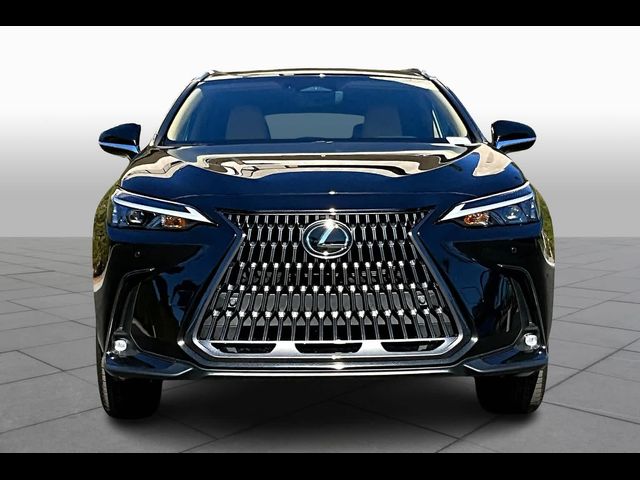 2025 Lexus NX 250