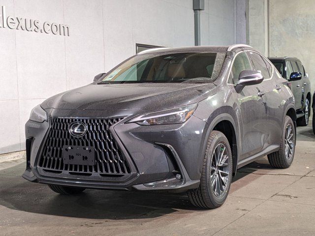 2025 Lexus NX 250