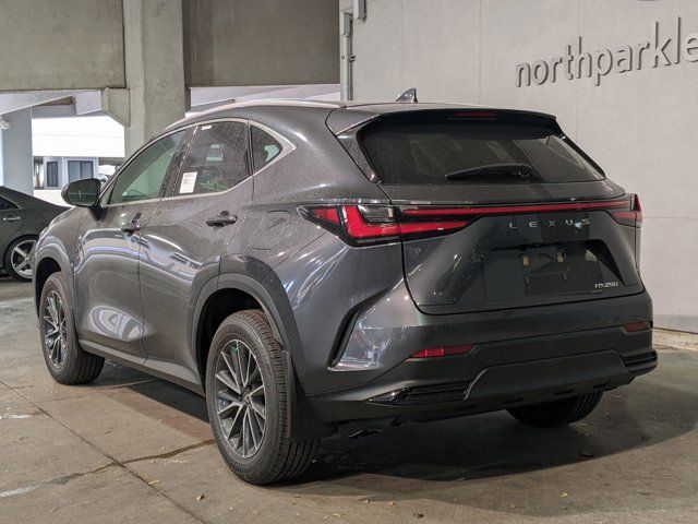 2025 Lexus NX 250