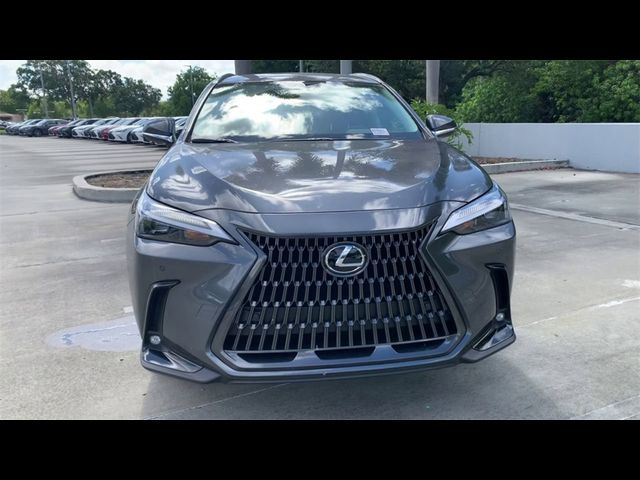 2025 Lexus NX 250