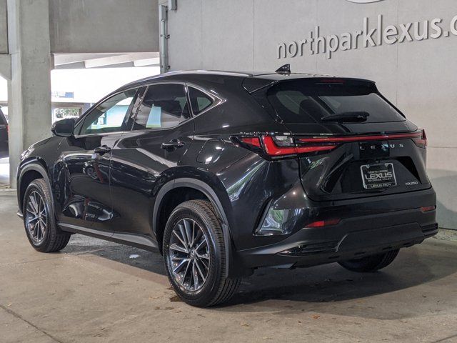 2025 Lexus NX 250