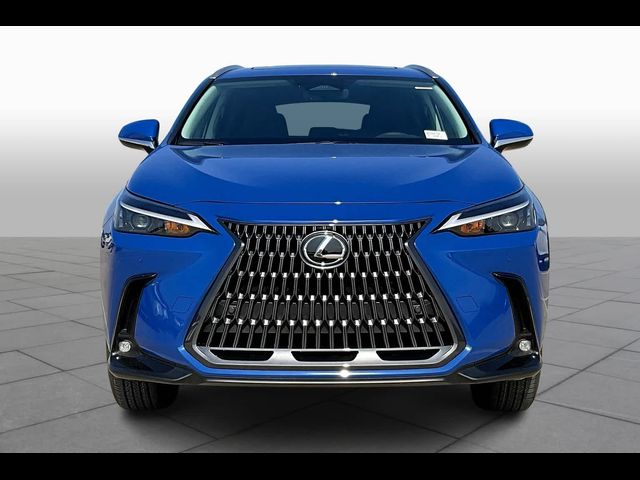 2025 Lexus NX 250