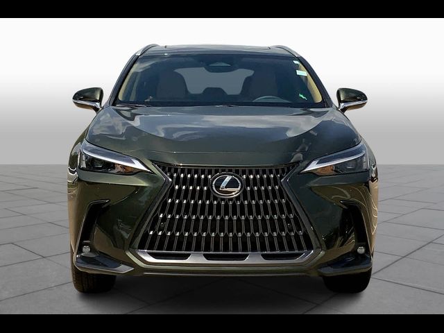 2025 Lexus NX 250